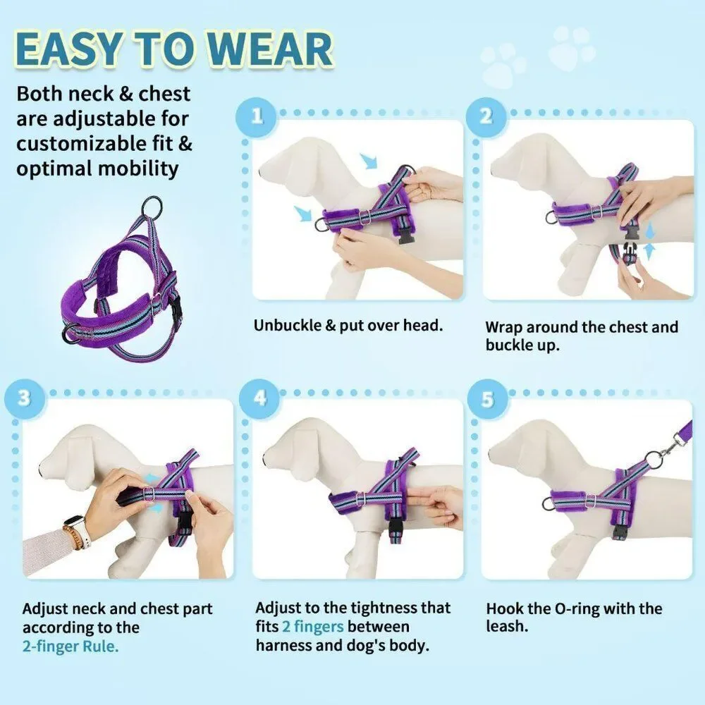 No Pull Small Dog Harness and Leash Set,  Purple Sz M